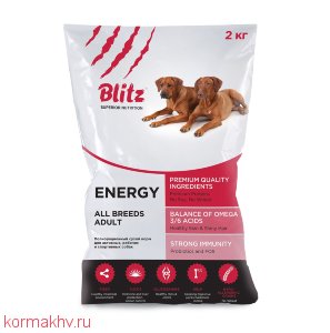 BLITZ Adult All Breeds Energy
