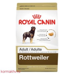 ROYAL CANIN ROTTWEILER ADULT