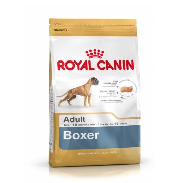 BOXER ADULT